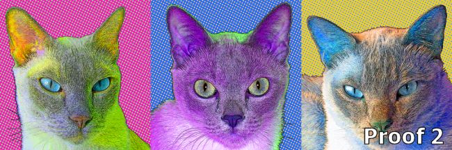 Custom Cat Art Triptich