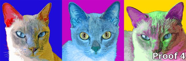Triptych cat portrait Warhol style