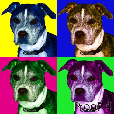 Custom Art Portraits of your Pit Bull