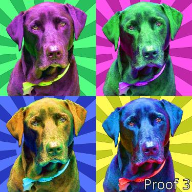 Warhol type custom dog art portrait