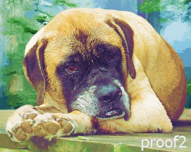 pop art pet portrait bull mastiff 