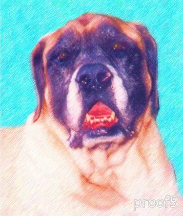 pop art pet portraits mastiff 