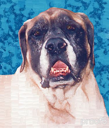 pet portrait mastiff art 