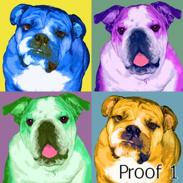 English Bulldog Warhol inspired pop art