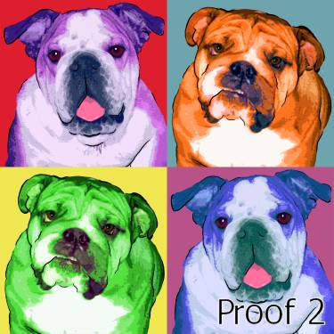 English Bulldog Warhol inspired Art Portrait