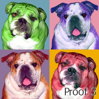 English Bulldog Pop Art Portraits
