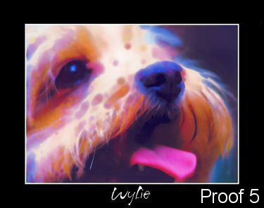 Wylie
