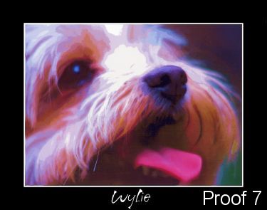 Wylie