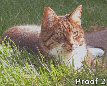 Custom Cat Portrait