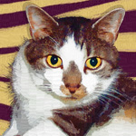 Pop art cat portrait Tounces