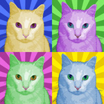 Custom Pop art cat portrait Mikelo
