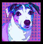 Jack Russell Pet Pop Art Portrait
